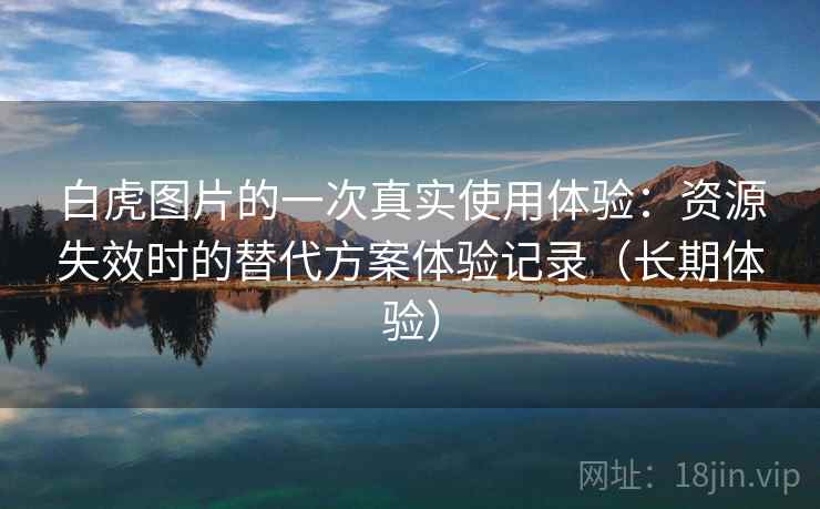 白虎图片的一次真实使用体验：资源失效时的替代方案体验记录（长期体验）