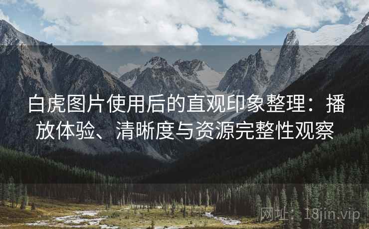 白虎图片使用后的直观印象整理：播放体验、清晰度与资源完整性观察