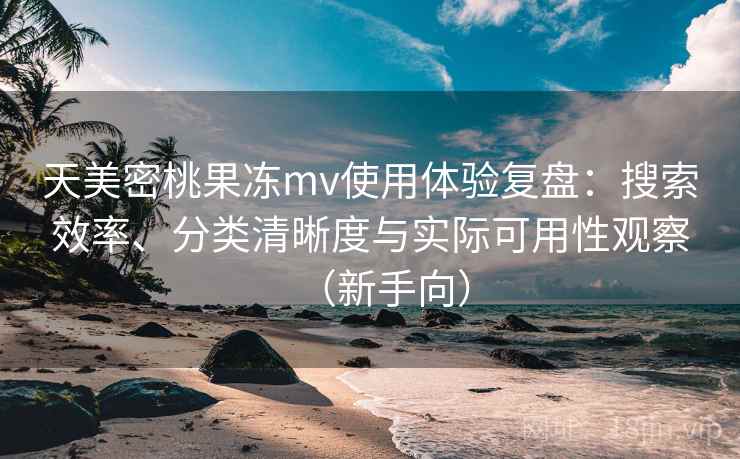 天美密桃果冻mv使用体验复盘：搜索效率、分类清晰度与实际可用性观察（新手向）