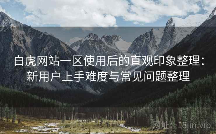 白虎网站一区使用后的直观印象整理：新用户上手难度与常见问题整理