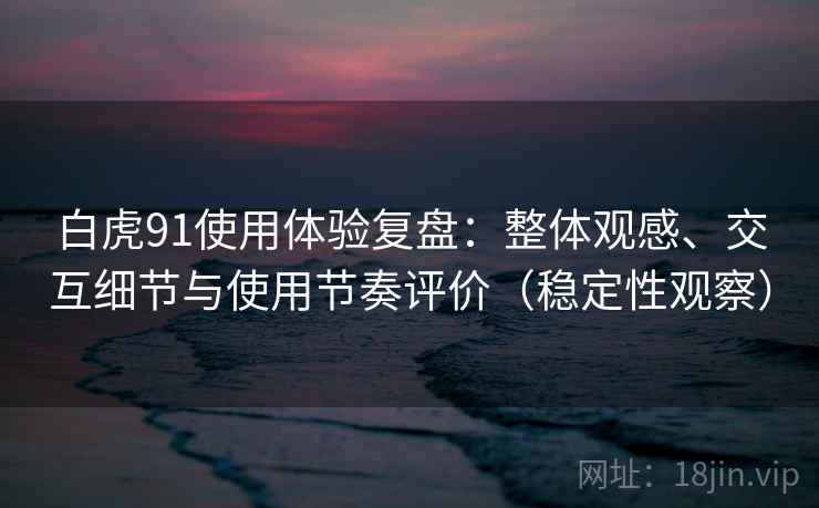 白虎91使用体验复盘：整体观感、交互细节与使用节奏评价（稳定性观察）