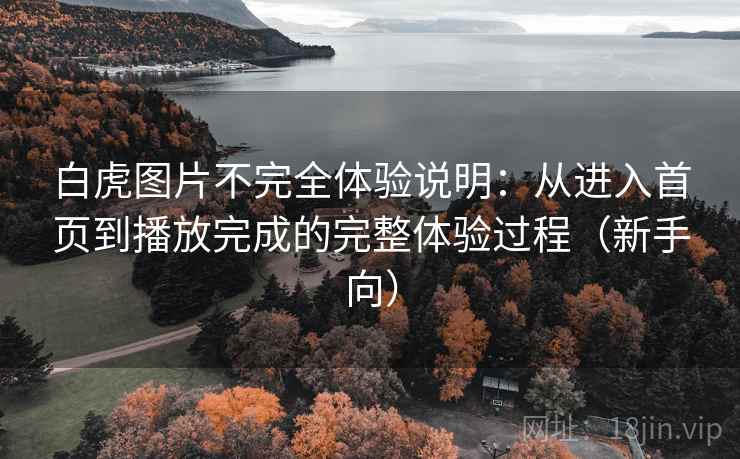 白虎图片不完全体验说明：从进入首页到播放完成的完整体验过程（新手向）