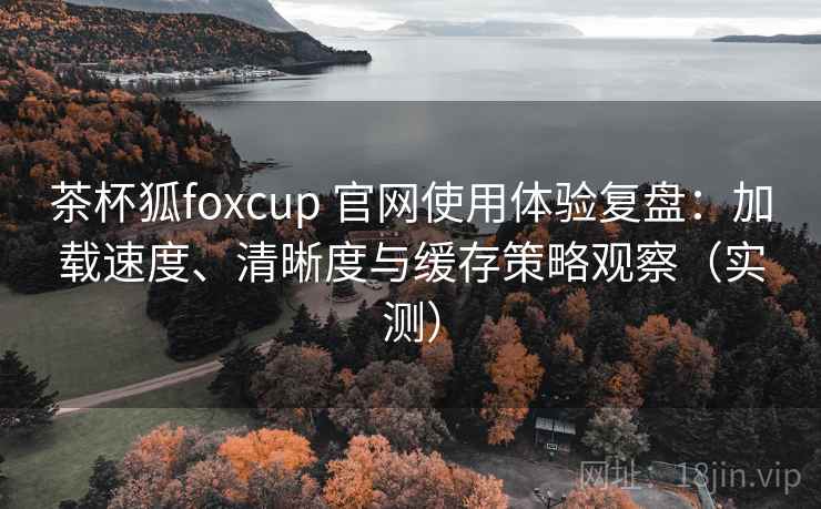 茶杯狐foxcup 官网使用体验复盘：加载速度、清晰度与缓存策略观察（实测）