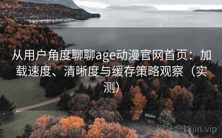 从用户角度聊聊age动漫官网首页：加载速度、清晰度与缓存策略观察（实测）