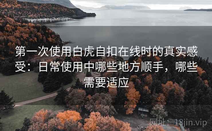 第一次使用白虎自扣在线时的真实感受：日常使用中哪些地方顺手，哪些需要适应