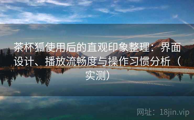 茶杯狐使用后的直观印象整理：界面设计、播放流畅度与操作习惯分析（实测）